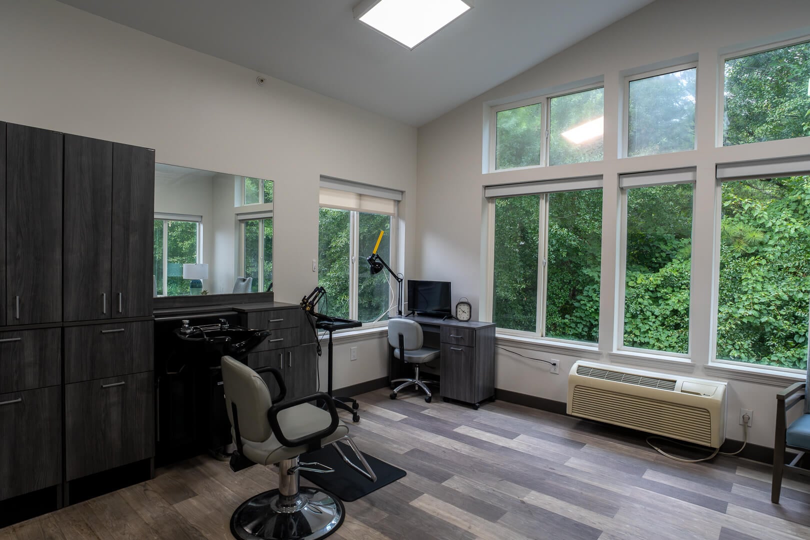 Professional Salon Chair With Natural Lighting for Senior Living Independent