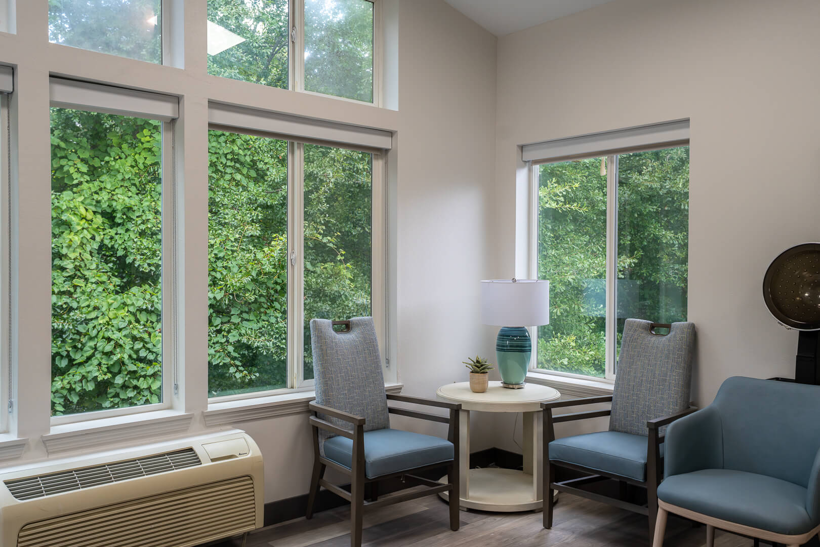 Quiet Reading Nook With Garden Views at Independent Living Facility