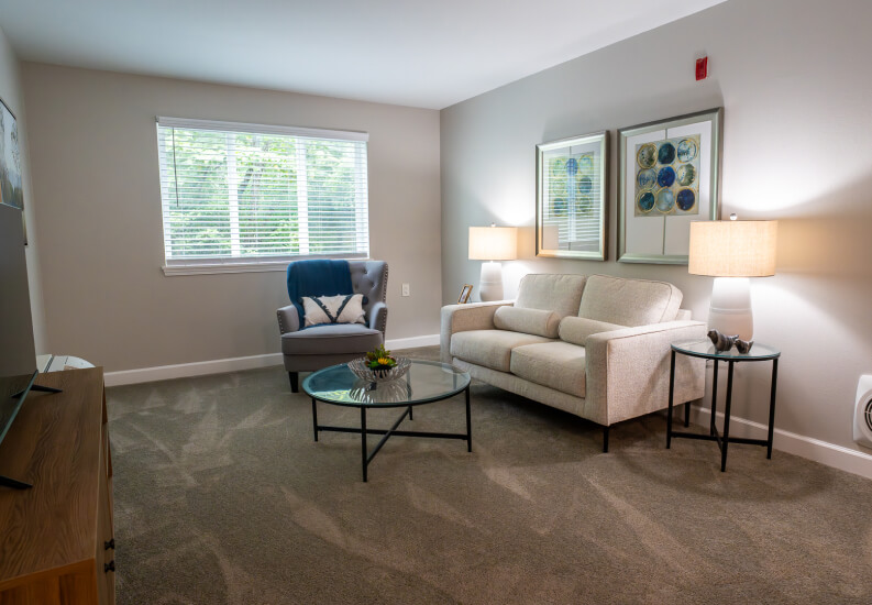 Living Room Area in a Senior Independent Living Apartment Living Room Area in a Senior Independent Living Apartment
